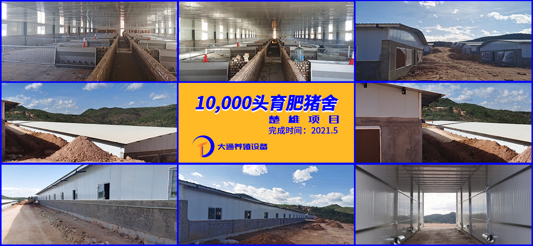 楚雄1000頭育肥規(guī)模豬場(chǎng)
